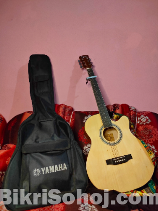 TGM t-400C guitar for sale
